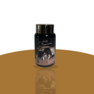 Trex stamina capsule jaggi pharma